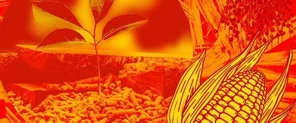 614_256 att-64567