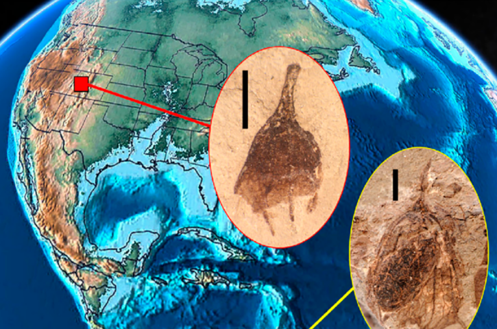 725_480 att-85970